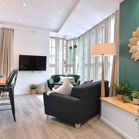 Le Splendide Du Centre Historique Avec Climatisation Апартаменты Кольмар