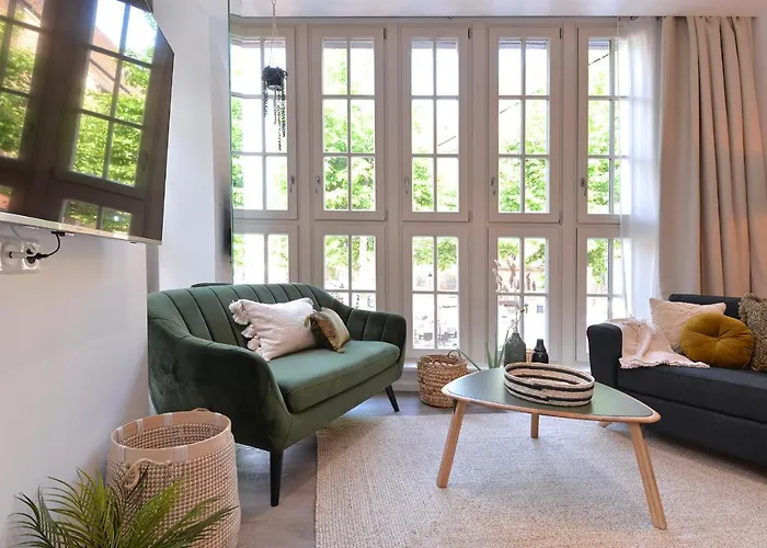 Le Splendide Du Centre Historique Avec Climatisation アパート コルマール