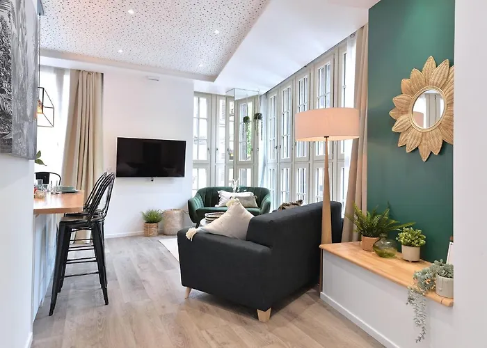 Le Splendide Du Centre Historique Avec Climatisation アパート コルマール