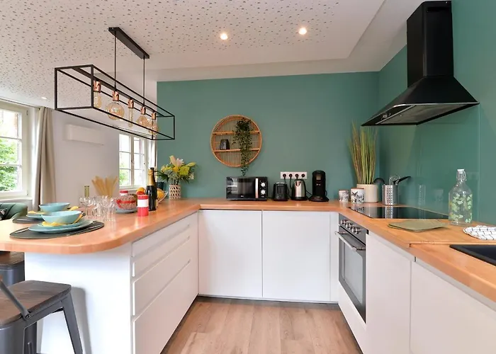 Le Splendide Du Centre Historique Avec Climatisation 아파트 콜마