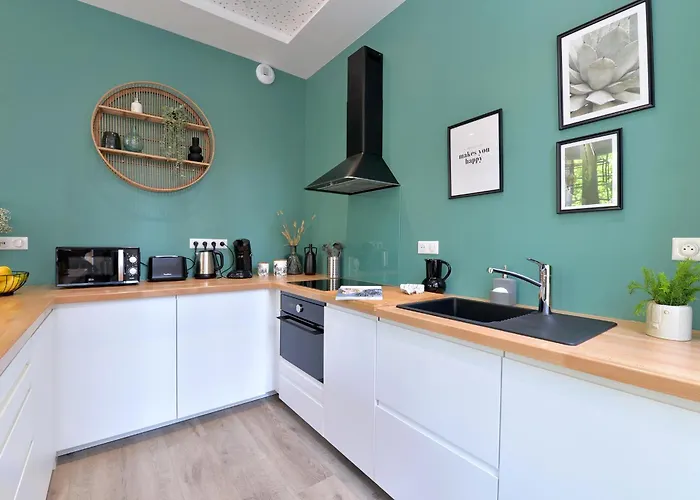 Le Splendide Du Centre Historique Avec Climatisation * コルマール