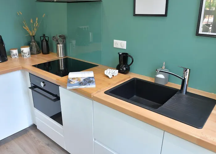 Le Splendide Du Centre Historique Avec Climatisation * コルマール