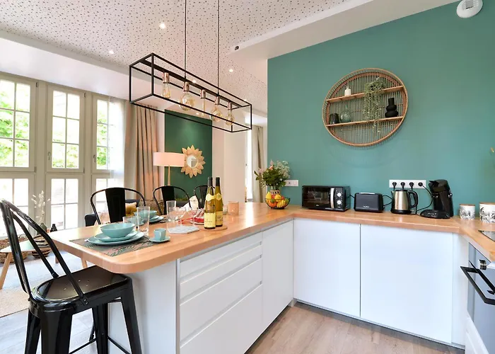 Le Splendide Du Centre Historique Avec Climatisation アパート コルマール