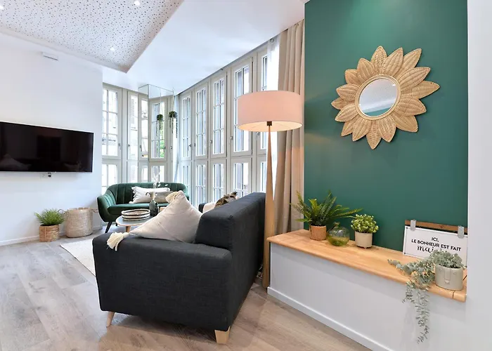 Le Splendide Du Centre Historique Avec Climatisation 아파트