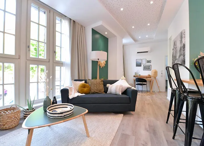 Le Splendide Du Centre Historique Avec Climatisation * コルマール